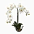 Elegant Silk White Orchid 3D model small image 2