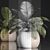 Exotic Palm Collection in Rattan Pot 3D model small image 3