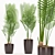 Glossy Pot Palm Plant 3D model small image 1