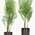 Glossy Pot Palm Plant 3D model small image 2