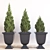 Elegant Augusta Planter Set 3D model small image 1