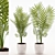 Tropical Palm Plant with Ceramic Pot 3D model small image 1