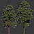 Optimized Pines Set: 12-14m Height 3D model small image 5