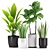 Botanical Bliss: Aspidistra, Sansevieria, Ficus, Aloe Vera 3D model small image 2