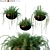 Versatile Plant Set for Interior and Exterior Design 3D model small image 1