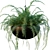 Versatile Plant Set for Interior and Exterior Design 3D model small image 3