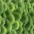 Evergreen Moss Wall: Nature-Inspired 3D Model 3D model small image 2