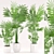 Tropical Palm Plant Set 3D model small image 1