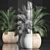 Exotic Indoor Plant Collection 3D model small image 3