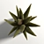 Realistic Faux Aloe Plant in Pot 3D model small image 2