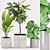 Green Oasis Collection: Aspidistra, Peperonia, Rubber Plant 3D model small image 1