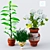 Indoor Plant Trio: Orchid, Fake Plant, Hydrangea 3D model small image 1