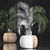Exotic Houseplants Collection 3D model small image 3