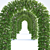 European Beech Arch | Fagus Sylvatica Arch 3D model small image 3