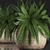 Exotic Indoor Fern in Rattan Basket 3D model small image 2