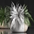 Exotic Indoor Fern in Rattan Basket 3D model small image 3