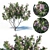 Pink Dawn Tree: Chitalpa Tashkentensis 3D model small image 1