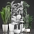 Exotic Houseplants Collection 3D model small image 3