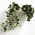 Ivy Wonder: Elegant Hedera Helix Hanging Plants 3D model small image 3