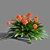 Exquisite Clivia miniata: A Botanical Marvel 3D model small image 1