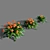 Exquisite Clivia miniata: A Botanical Marvel 3D model small image 2