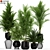 Exquisite 184-Plant Collection 3D model small image 1
