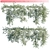 Trachelospermum Jasminoides: Vibrant Star Jasmine Creeper 3D model small image 1