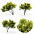 Magnificent Magnolia Trio: 4m Height 3D model small image 1