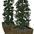 Lush Greenery: Plant & Pot 3D model small image 2