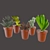 Vibrant Cactus Pot Set: Maziye Model 3D model small image 1