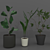 Sina Model: Elegant Indoor Plant 3D model small image 3