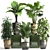 Exotic Plant Collection - Schefflera, Alocasia, Ficus Alii 3D model small image 1