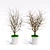 Breezy Blooms: Indoor Harmony Pair 3D model small image 1