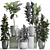 Exotic Ficus Plant Collection 3D model small image 3