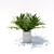 Tiny Palm Tree: A Lush Indoor Delight 3D model small image 1