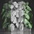 Exotic Monstera Plant Collection 3D model small image 3