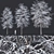 Snowy Tilia Tree Trio - 11-14m 3D model small image 1