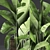 Exotic Houseplant Collection: Banana Palm & Ravenala 3D model small image 2