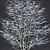 Winter Wonderland: Tilia Tree Set 3D model small image 3