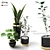 Botanic Trio: Indoor Plant Set 3D model small image 1