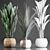 Exotic Indoor Plants Collection with 360 Varieties 3D model small image 3