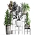 Title: Exotic Houseplant Collection 3D model small image 3
