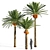 Exquisite Date Palm Tree 3D model small image 1