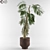 Tropical Bliss: Palm Tree for Soil & Pot 3D model small image 1