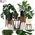 Modern Planters Collection: Mid-Century Style 3D model small image 1