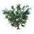  Majestic English Oak: Perfect for Landscaping! 3D model small image 1