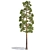 Tall Pine Tree for 3D Modeling 3D model small image 2