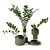 Modern Botanical Decor Set 3D model small image 2