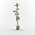 Exotic Lucky Bamboo - Perfect Indoor Decor 3D model small image 1