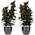 Exotic Palm Plant in Decorative Flowerpot 3D model small image 1